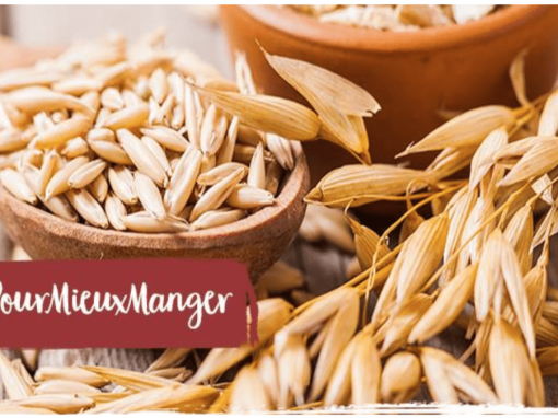 Produits semi-finis à base de germes de blé tendre – CerealVeneta